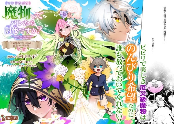 Mandragora tte Baretara Toubatsu desu ka? Hana no Majo no Hohoemi wa Kanchigai no Tane wo Maku